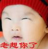 大家好