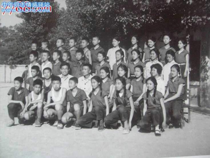 50e19c14ed9de75b.jpg